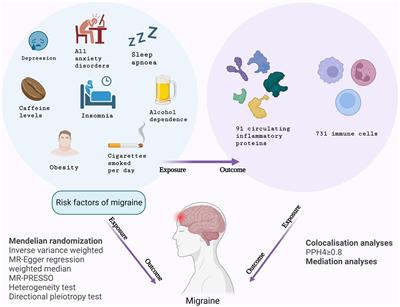 Inflammo-immune perspective on the association of eight migraine risk factors with migraine: a multi-omics Mendelian randomization study